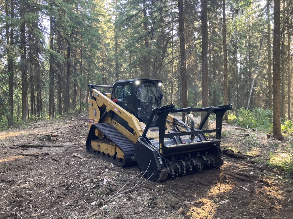 Tracked mulcher reducing surface fuels in a dense spruce stand