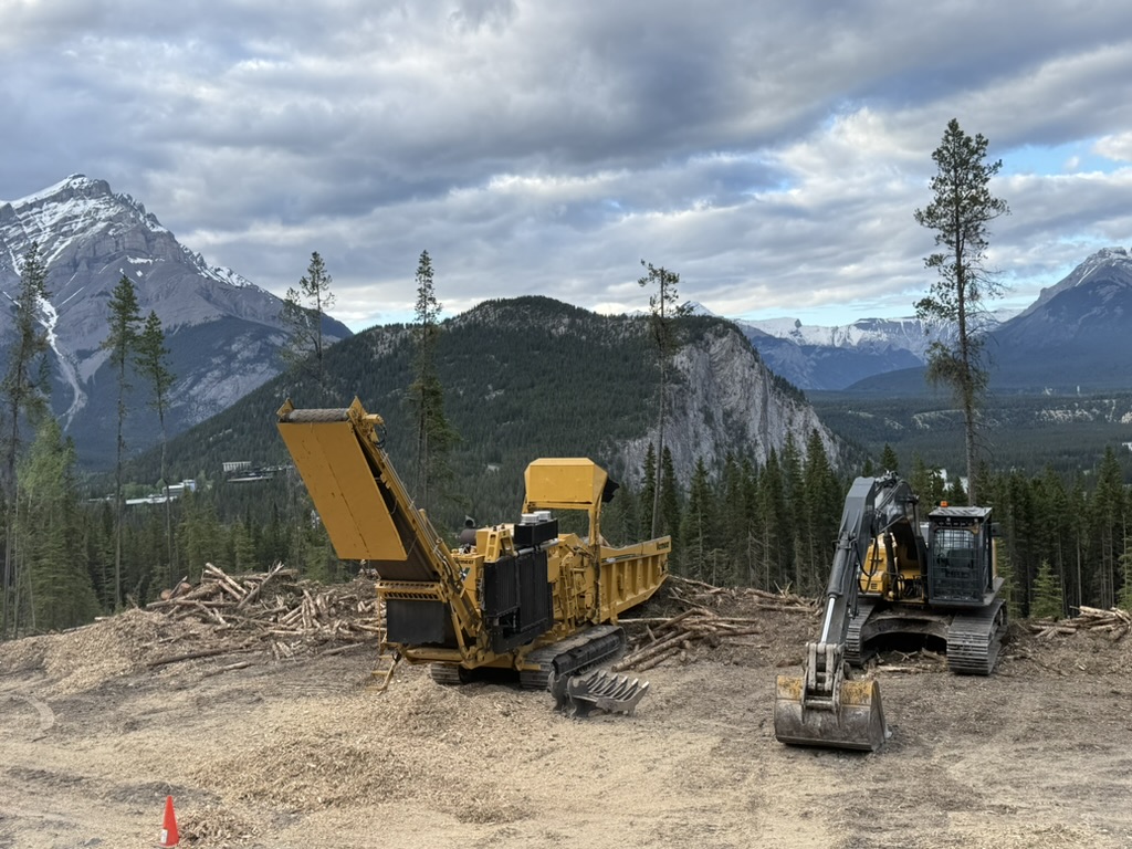 Grinder and excavator processing fibre on a mountain bench in Banff