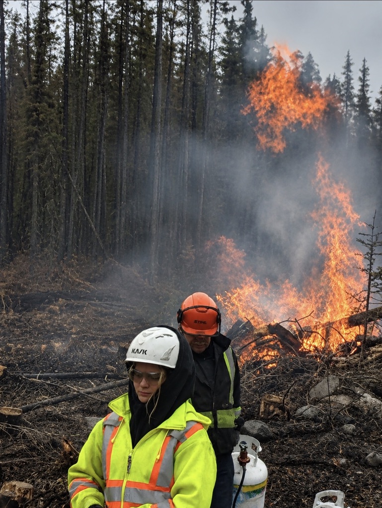 Crew members with drip torches working alongside active flame in a spruce stand