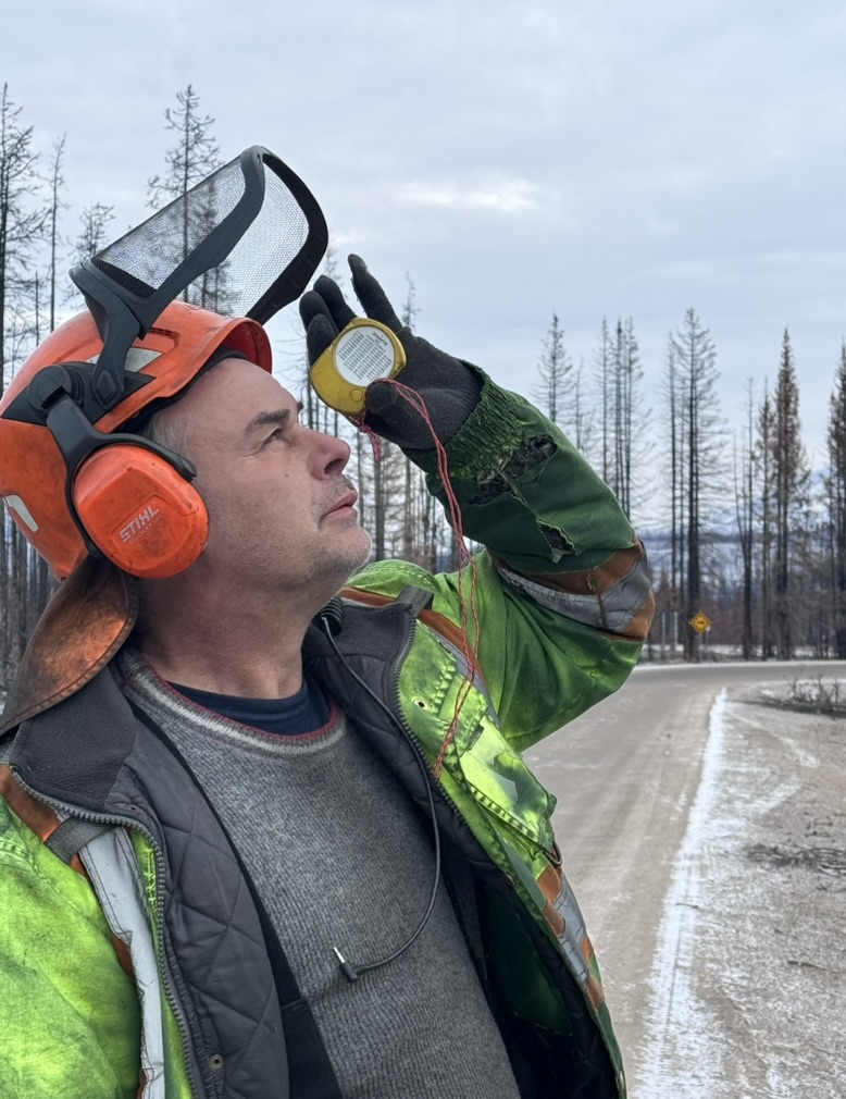 Certified danger tree assessor sighting a burned stem with a clinometer along a post-fire road
