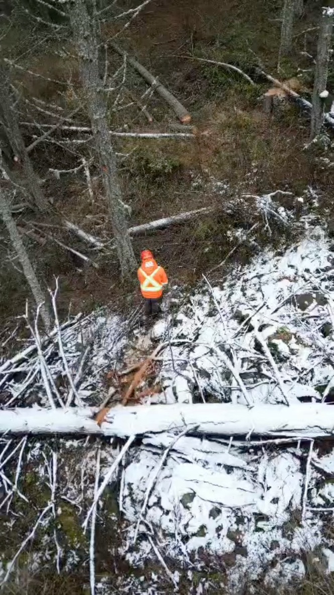 Certified faller working a steep, snow-covered danger tree block