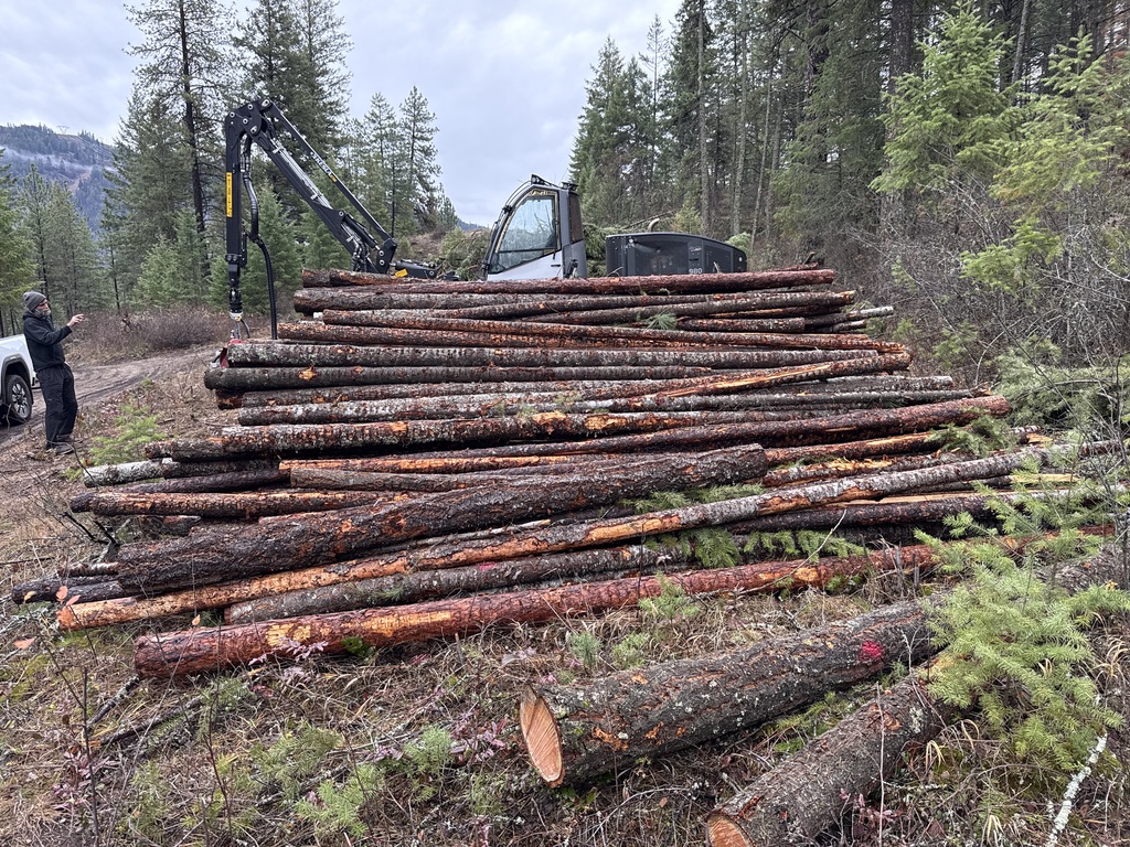 Forwarder building a roadside deck of treated stems