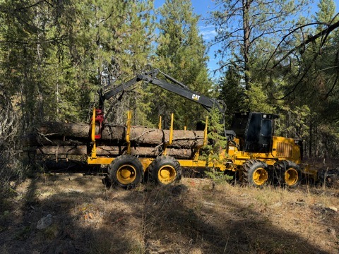Forwarder carrying a load of logs out of a pine stand