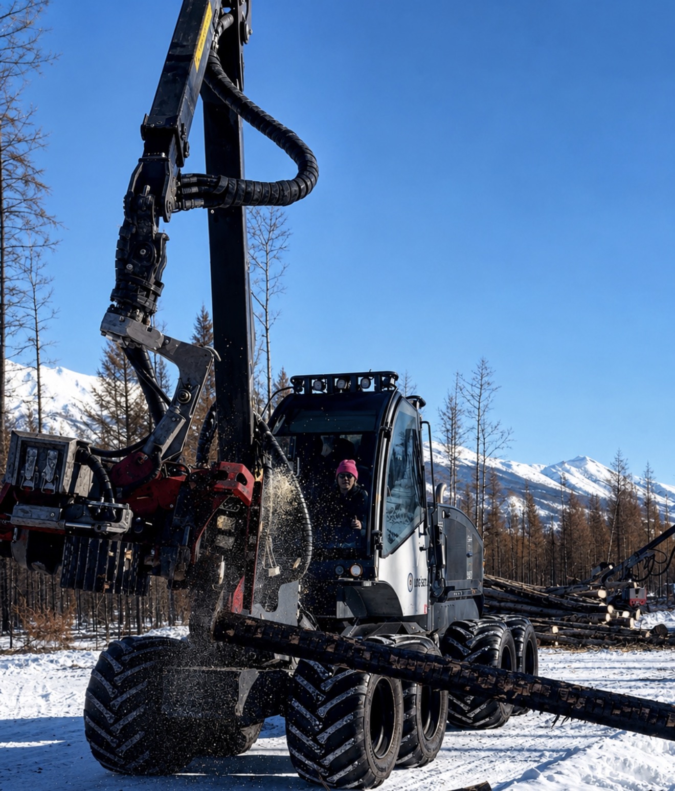 Harvester processing fire-killed timber in a snow-covered burn