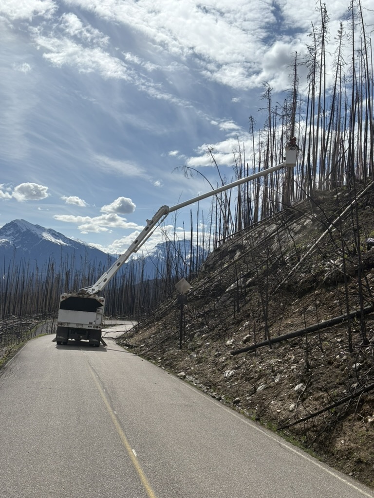 Bucket truck removing fire-killed danger trees above a Jasper highway
