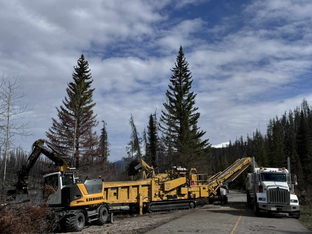 Grinder, excavator, and chip truck processing fire-killed timber along a Jasper roadway