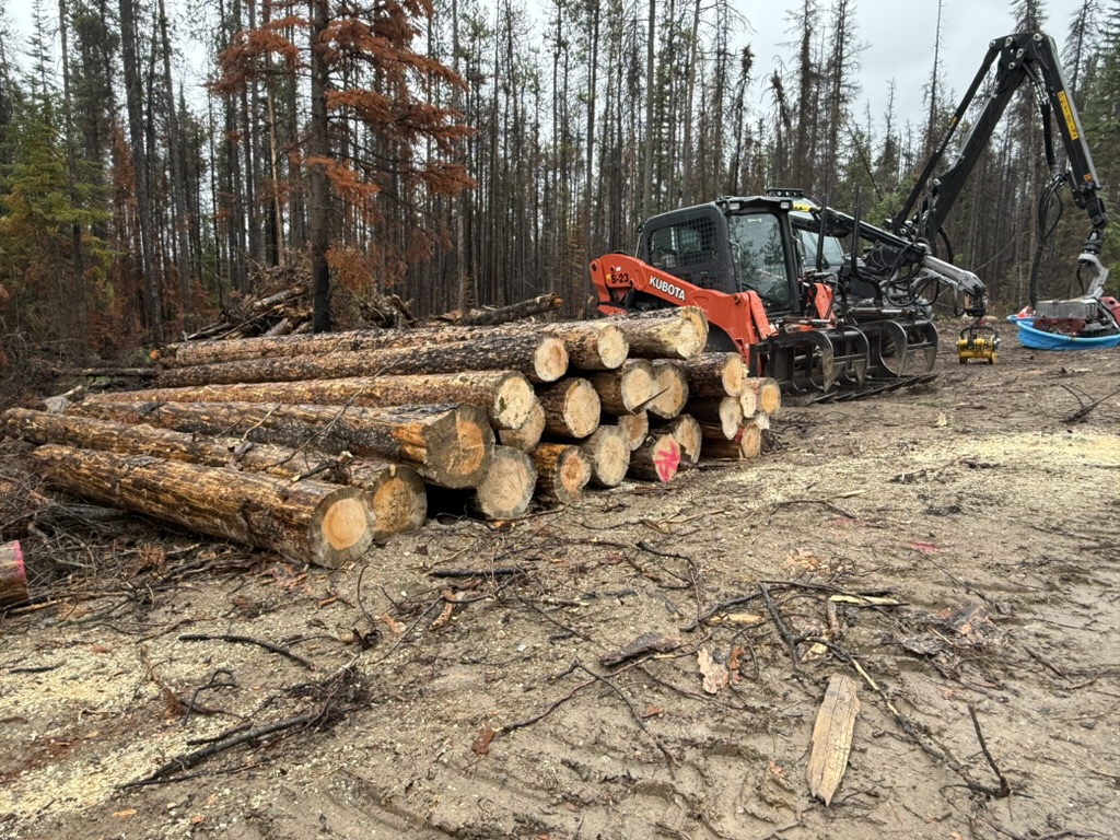 Kubota carrier decking salvaged stems in a Jasper burn