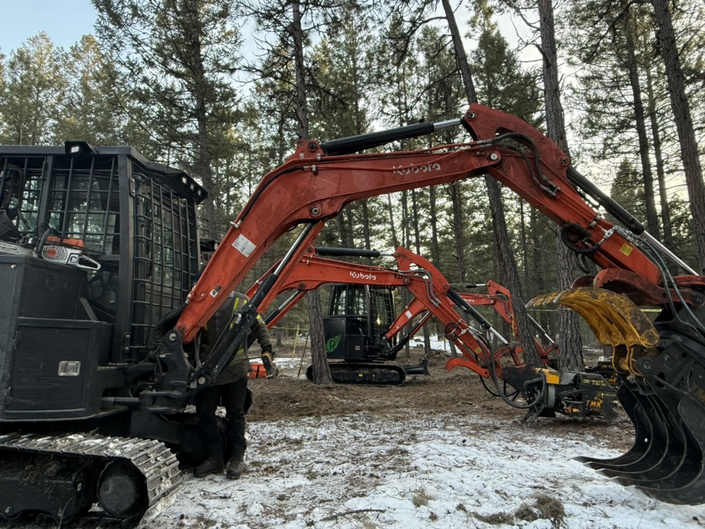 Kubota carriers with grapple and mulching attachments in a pine stand