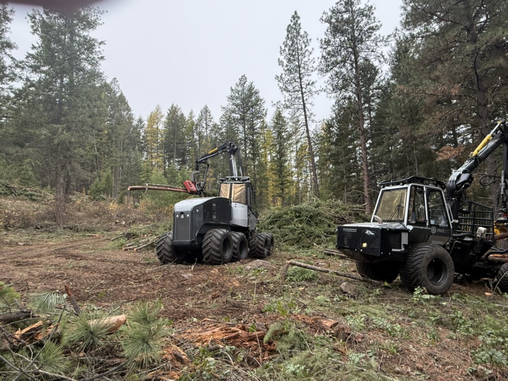Small-footprint harvester and forwarder pair working a partial-cut block