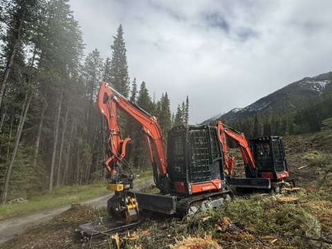 Mastication units staged on a forest access road in the Rockies