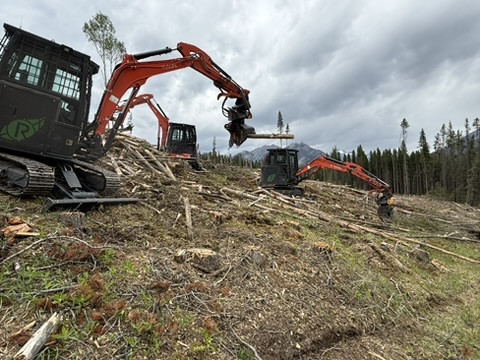 Two excavators with mulching heads treating a steep slope